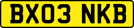 BX03NKB