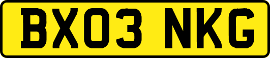 BX03NKG
