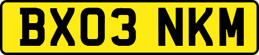 BX03NKM