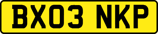 BX03NKP