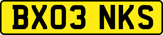 BX03NKS