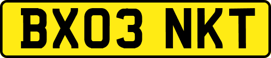 BX03NKT