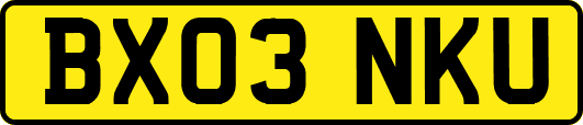 BX03NKU