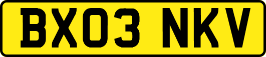 BX03NKV