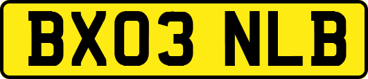 BX03NLB