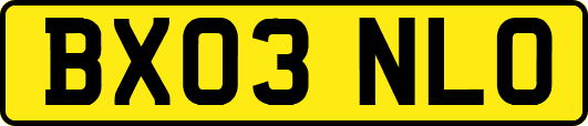 BX03NLO