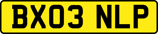 BX03NLP
