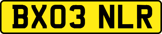 BX03NLR