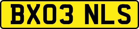 BX03NLS