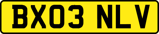 BX03NLV