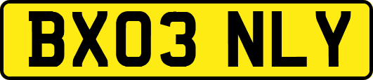 BX03NLY