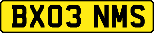 BX03NMS