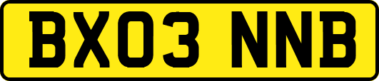 BX03NNB