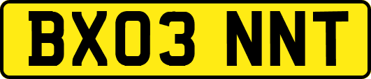 BX03NNT