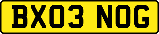 BX03NOG