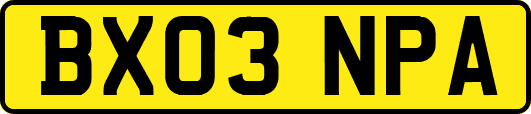 BX03NPA