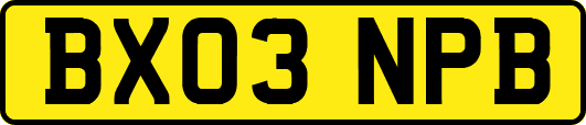 BX03NPB