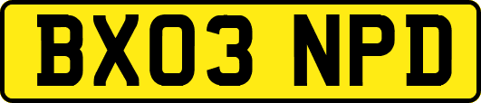 BX03NPD