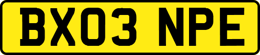 BX03NPE
