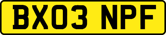 BX03NPF