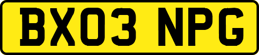 BX03NPG