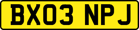 BX03NPJ
