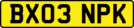 BX03NPK