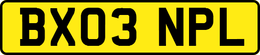 BX03NPL