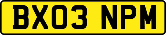 BX03NPM