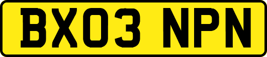 BX03NPN