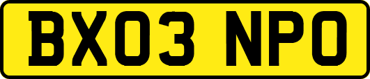 BX03NPO