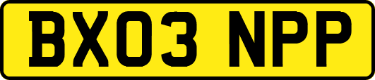 BX03NPP