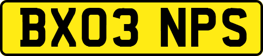 BX03NPS