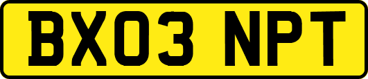 BX03NPT