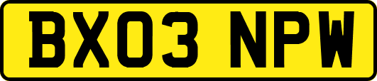 BX03NPW