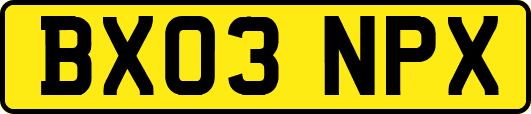 BX03NPX