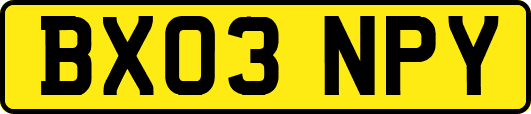 BX03NPY
