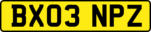 BX03NPZ