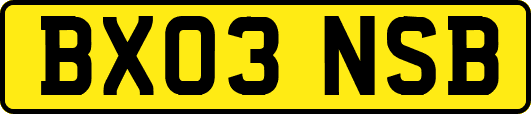 BX03NSB