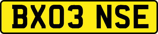 BX03NSE
