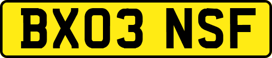 BX03NSF