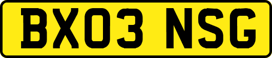 BX03NSG
