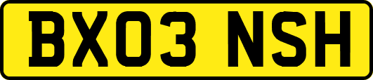 BX03NSH