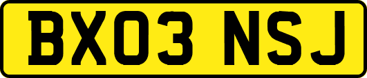 BX03NSJ
