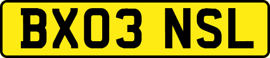 BX03NSL