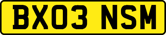 BX03NSM