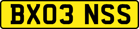 BX03NSS