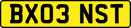 BX03NST