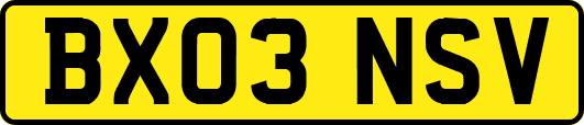 BX03NSV