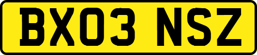 BX03NSZ